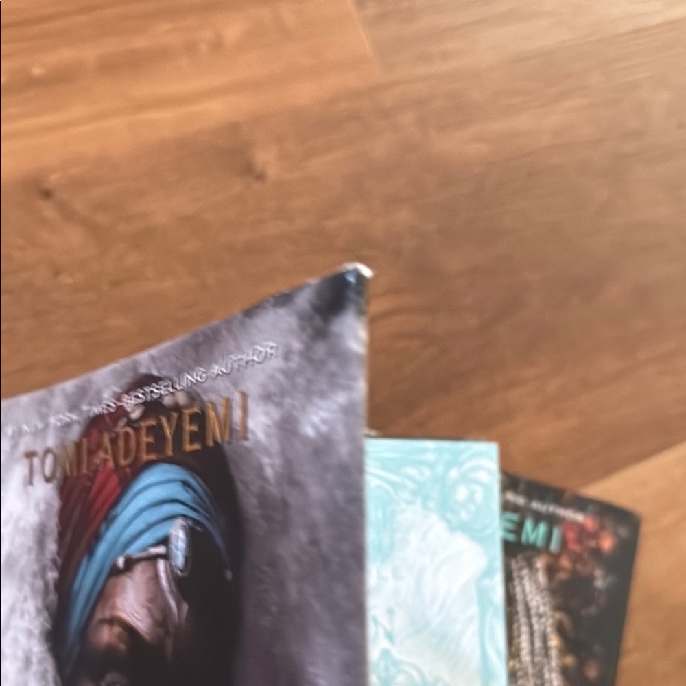 Children of Virtue and Vengeance & Children of Anguish and Anarchy Books - Picture 5 of 5